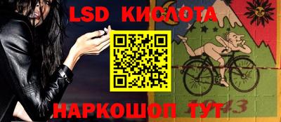 прущие грибы Новодвинск
