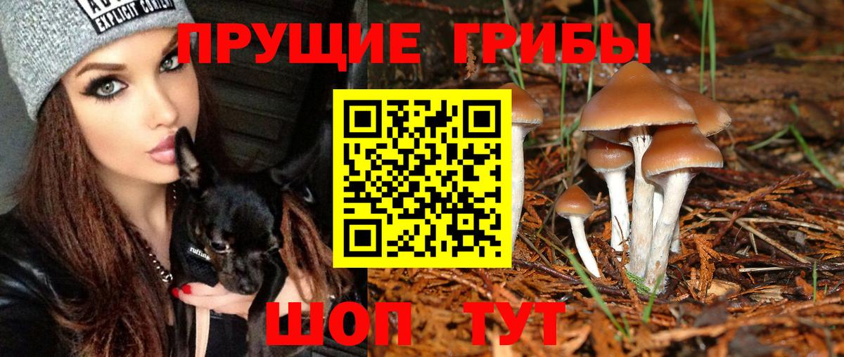 Галлюциногенные грибы MAGIC MUSHROOMS Элиста
